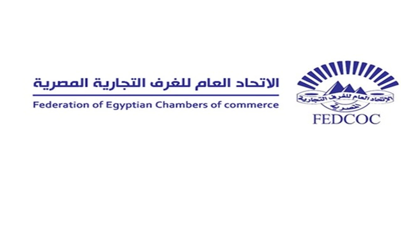 وفد من كبرى الشركات الفنلندية يبحث فرص التعاون في 8 قطاعات بمصر